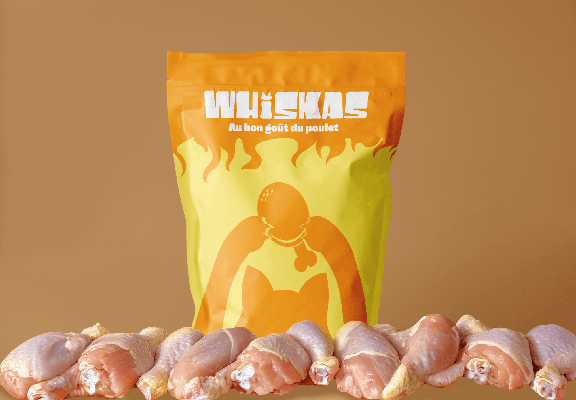 Whiskas — visuel 1 du projet