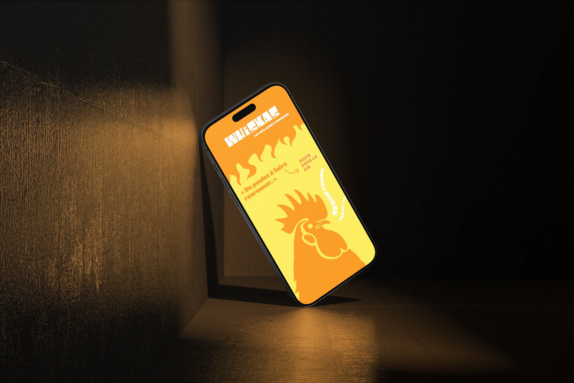 Whiskas — visuel 11 du projet