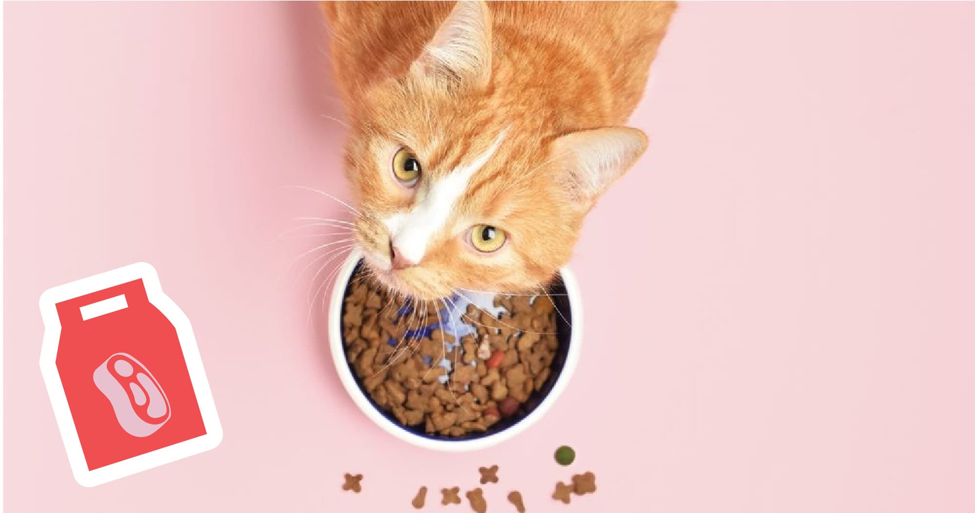 Whiskas — visuel 12 du projet