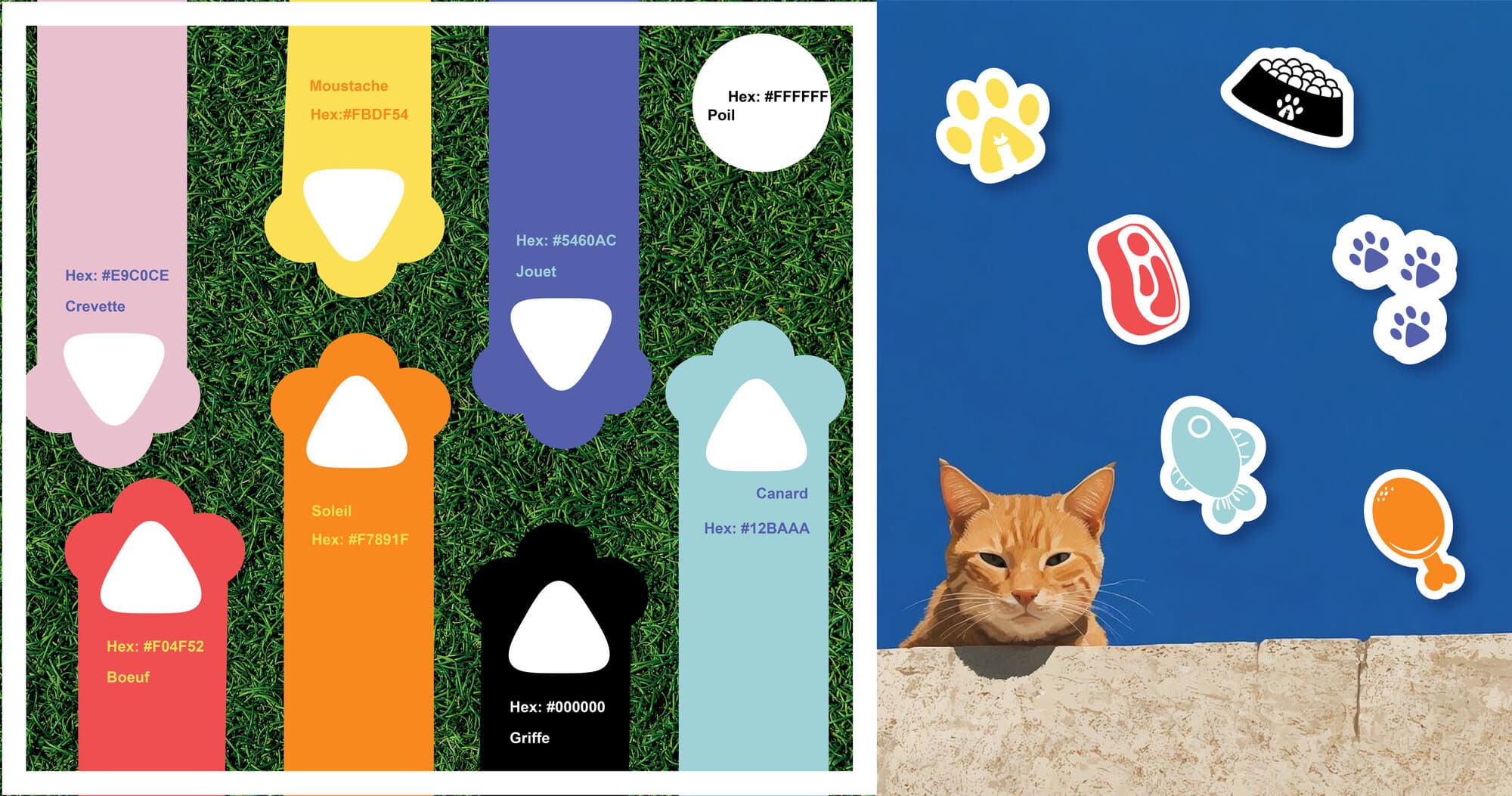Whiskas — visuel 13 du projet
