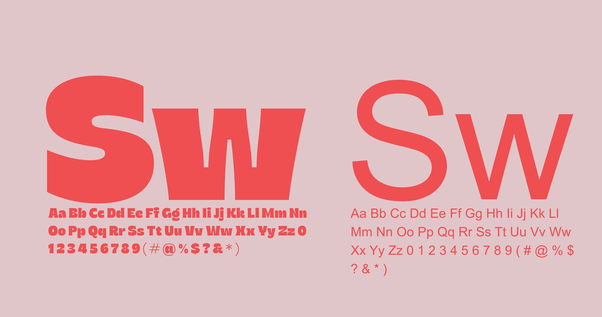 Whiskas — visuel 14 du projet
