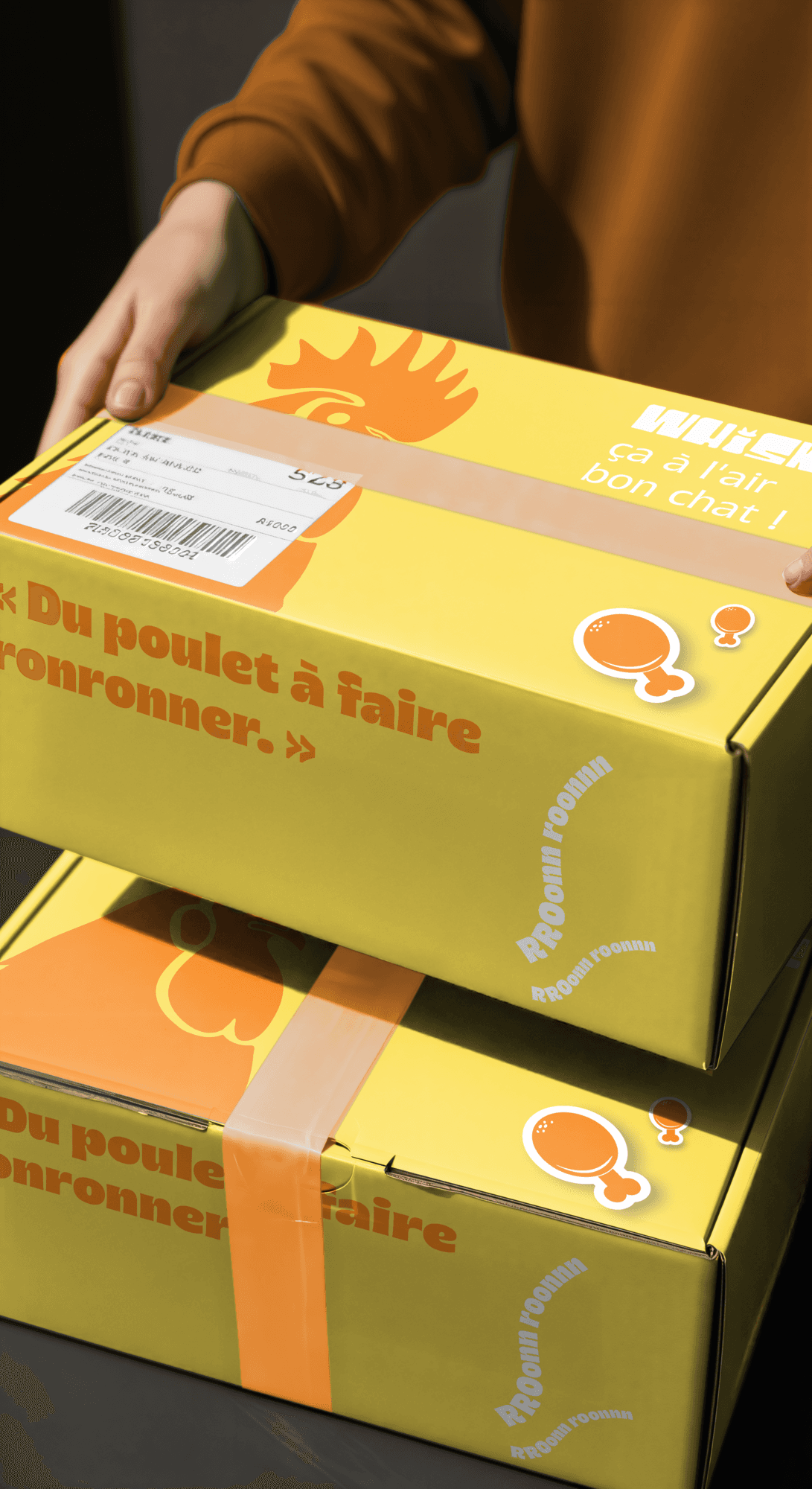 Whiskas — visuel 16 du projet